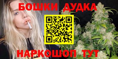 сатива Краснодар