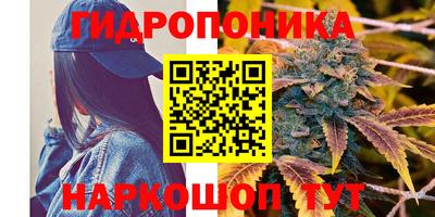 сатива Краснодар