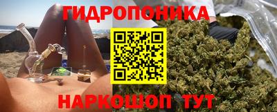 сатива Краснодар