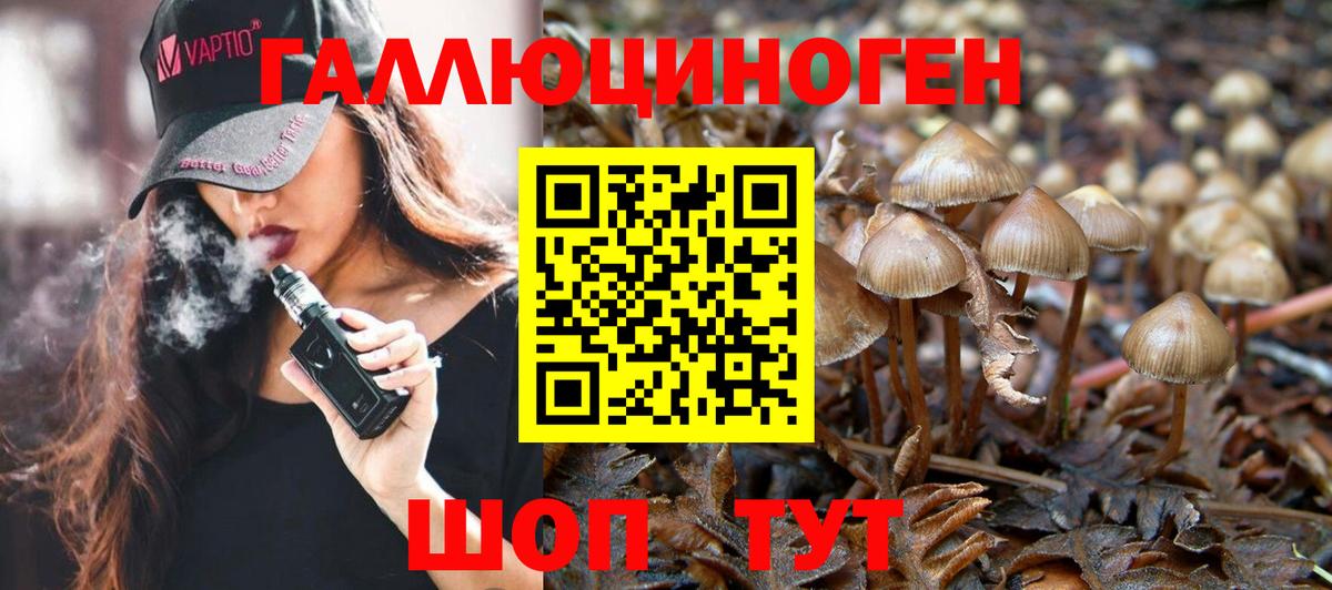 Когалым  Псилоцибиновые грибы прущие грибы  Вход с VPN 